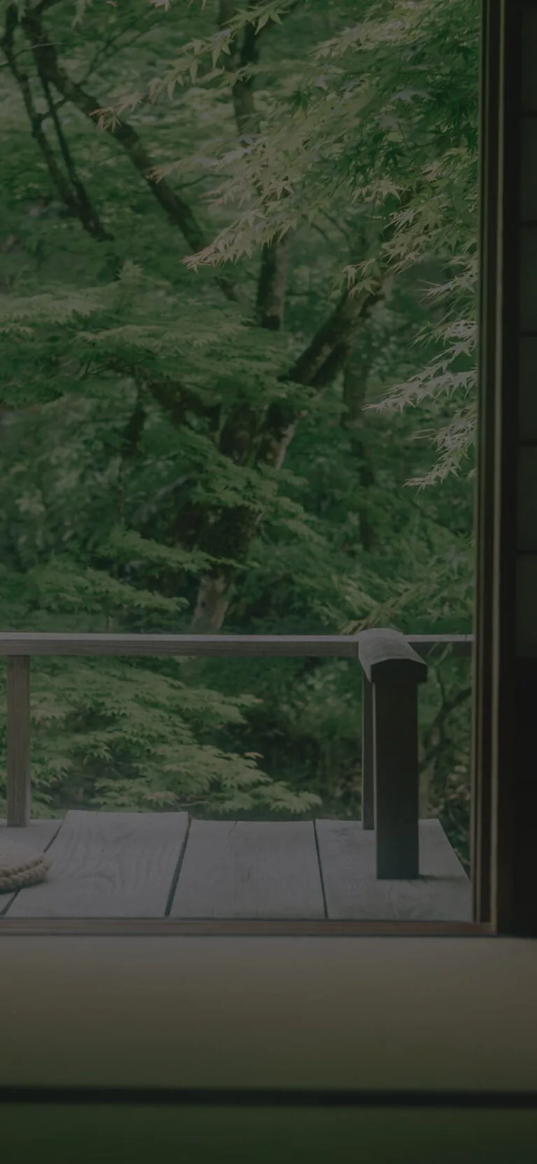 Miyamaso — photo 8