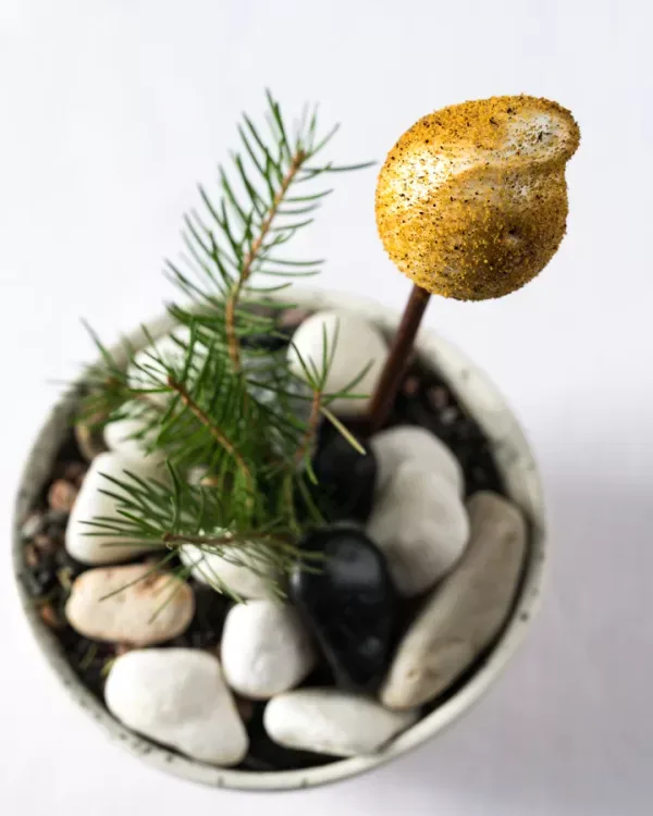 Olo Restaurant — photo 8