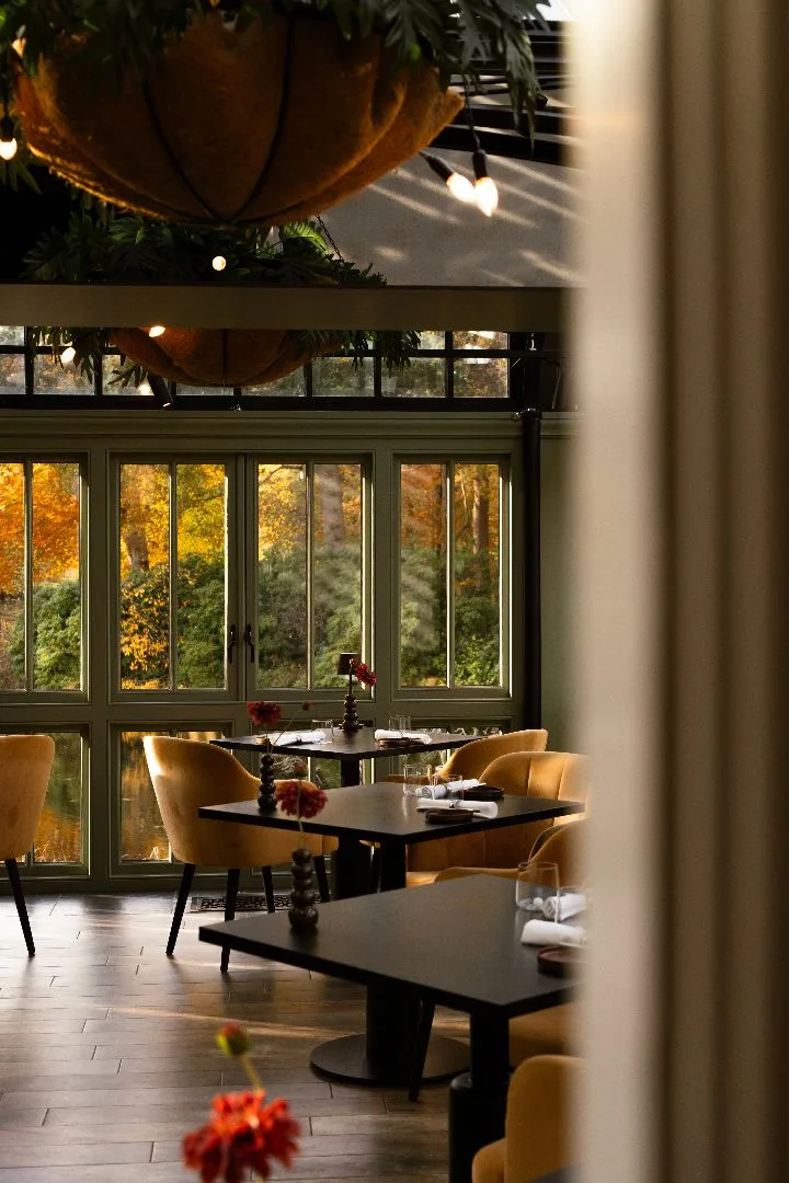 Restaurant Judith — photo 10