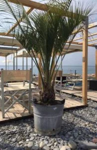 Romolo Mare — atmosphere