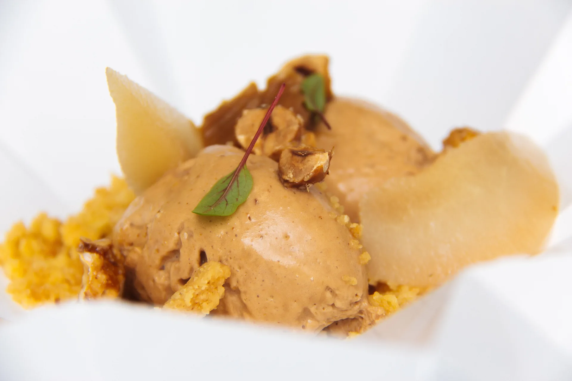 Pleine Terre — food