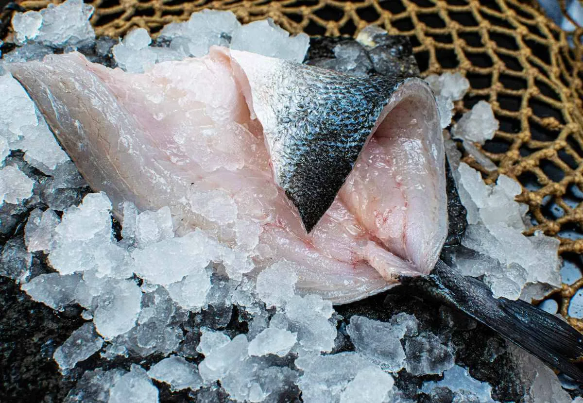 Atlantik Fisch — photo 63