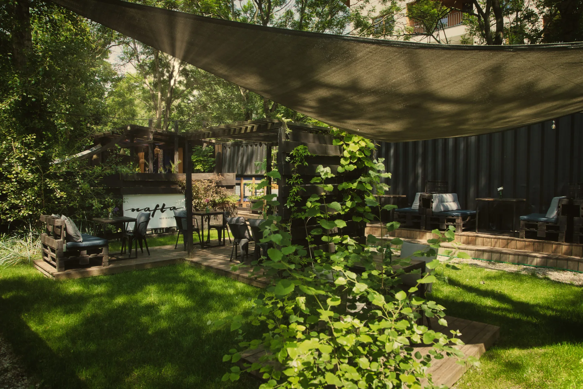 Nafta Neo Bistro — photo 7