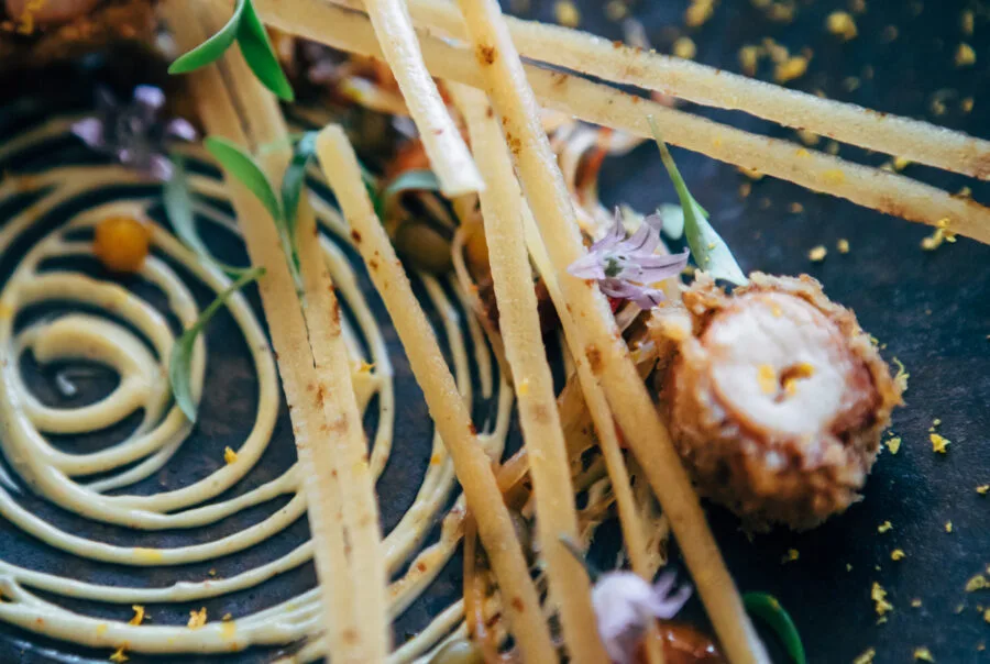 Salsify at the Round House — photo 21