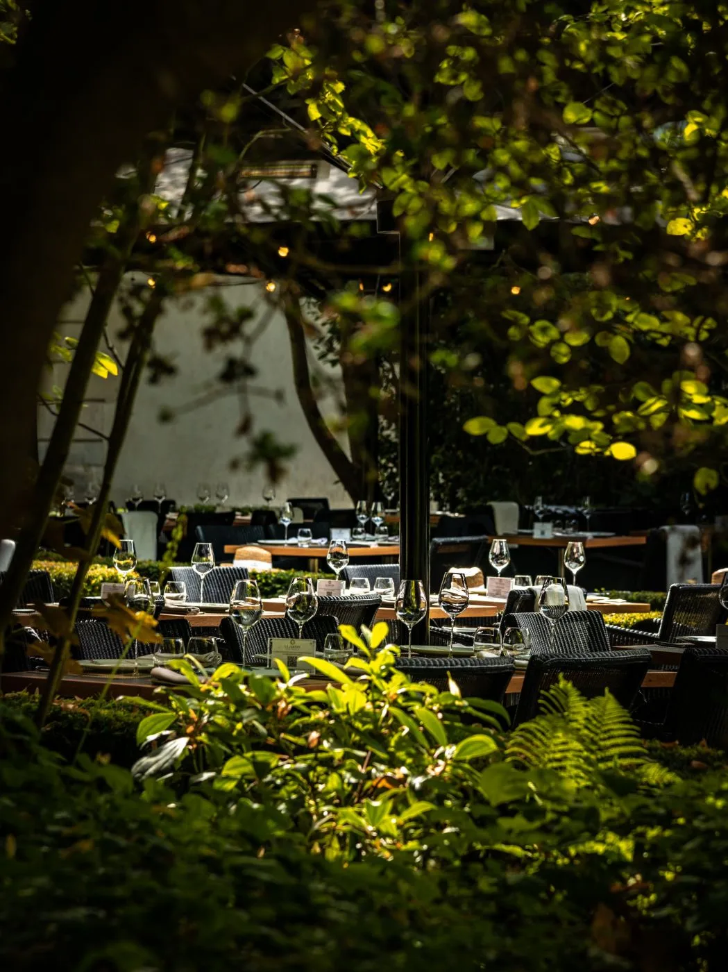 Brasserie Le Jardin — photo 8
