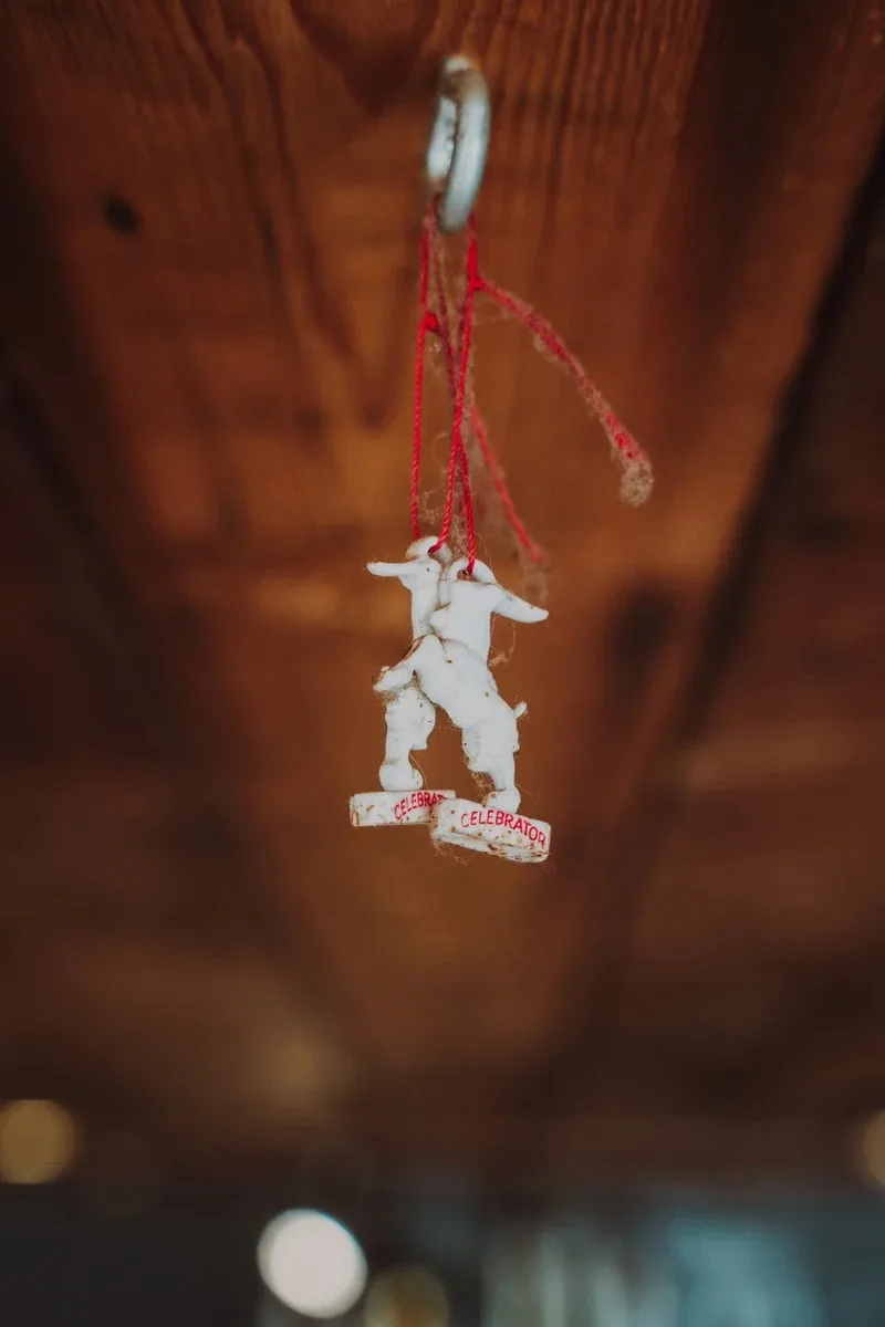 The Dancing Goat — photo 4