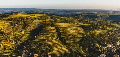 Weingut Nigl — photo 6
