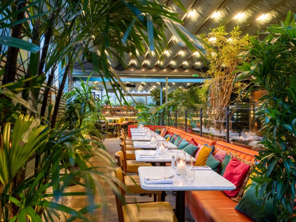 The Ivy — photo 8