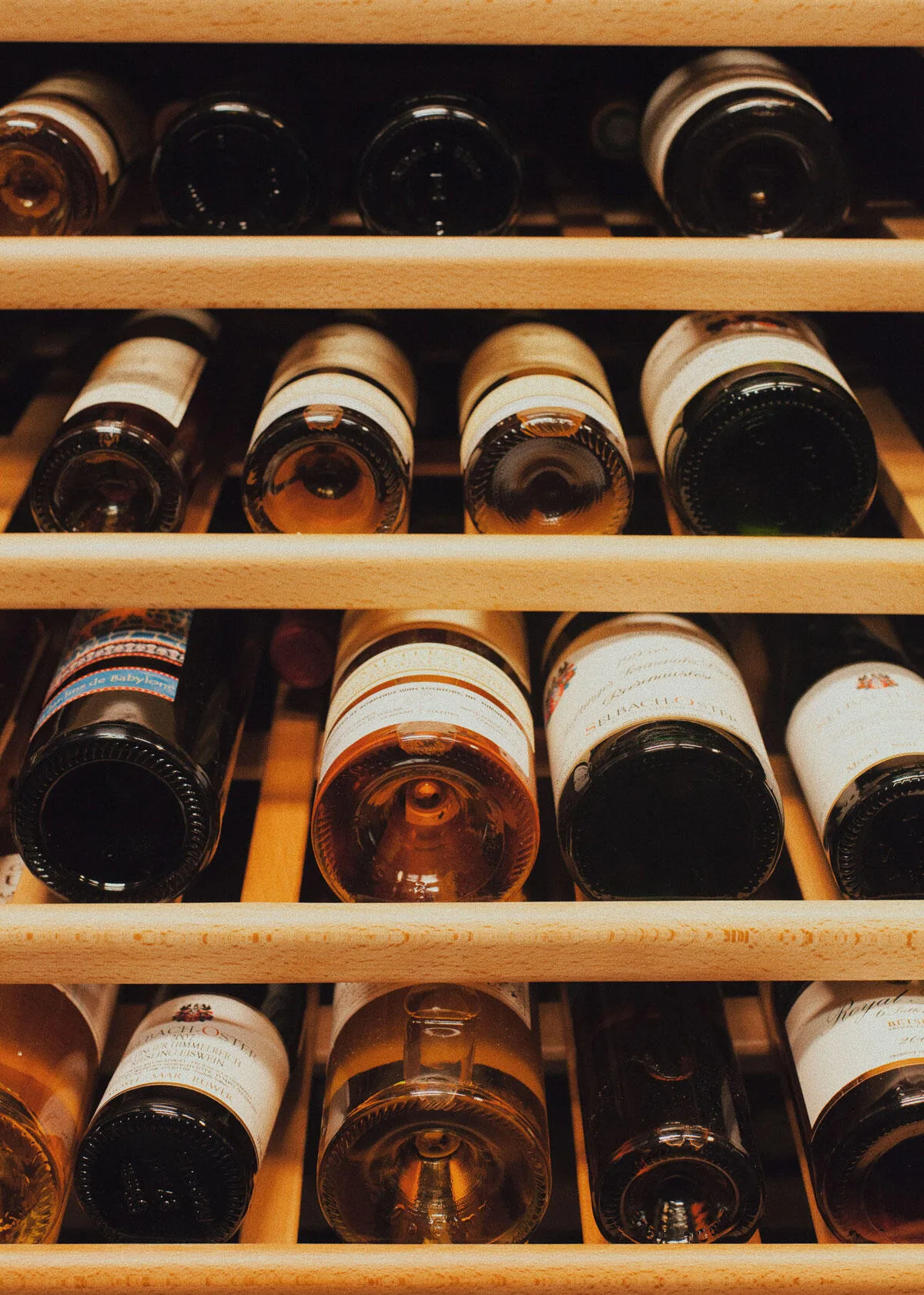 Canlis — photo 25