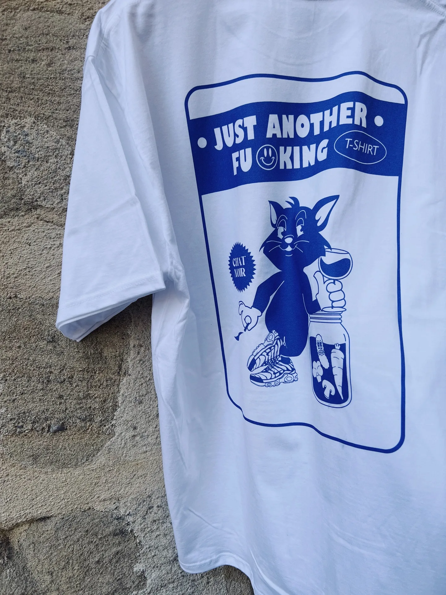 Chat Noir — photo 5