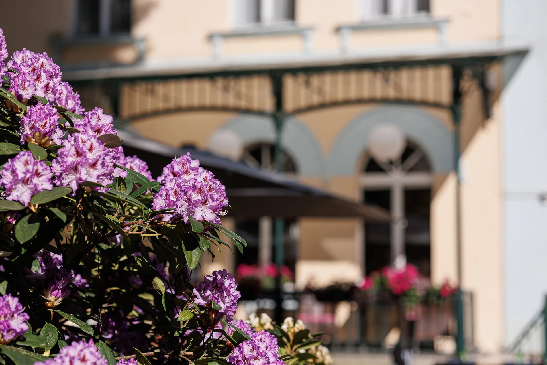 Le Marché — photo 60