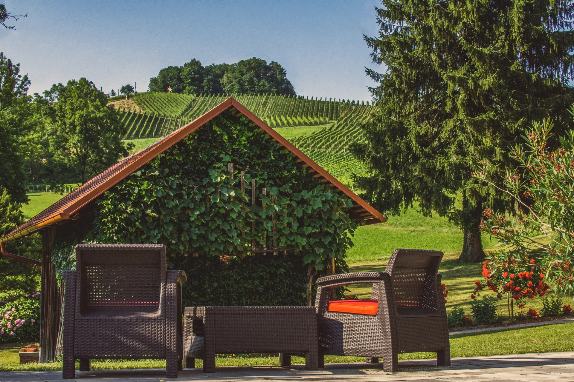 Domačija Vino Gaube — photo 48