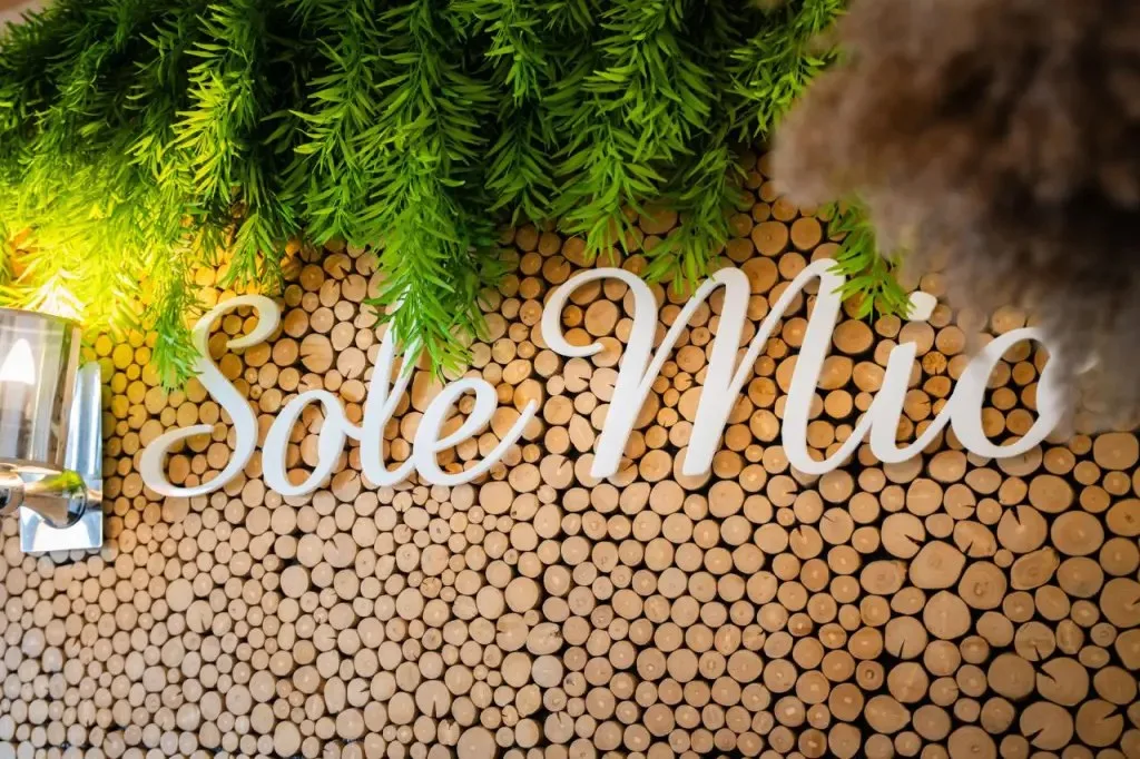 Sole Mio Seeterrasse — photo 26