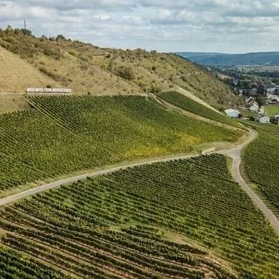 Weingut Weber — photo 20