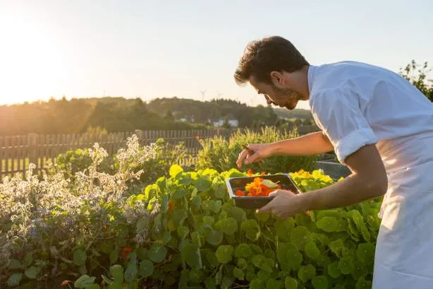Les Jardins Sauvages - La Grée des Landes — photo 20