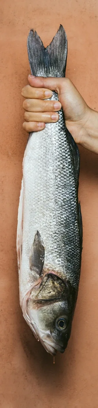 Sem Porta — photo 11