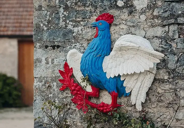 La Ferme de la Ruchotte — photo 40