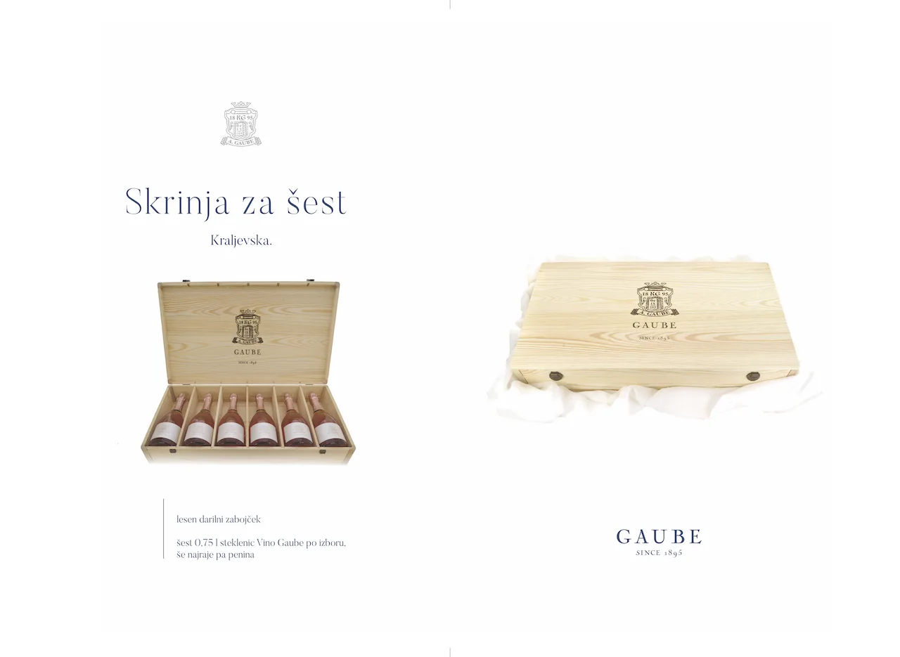 Domačija Vino Gaube — photo 19