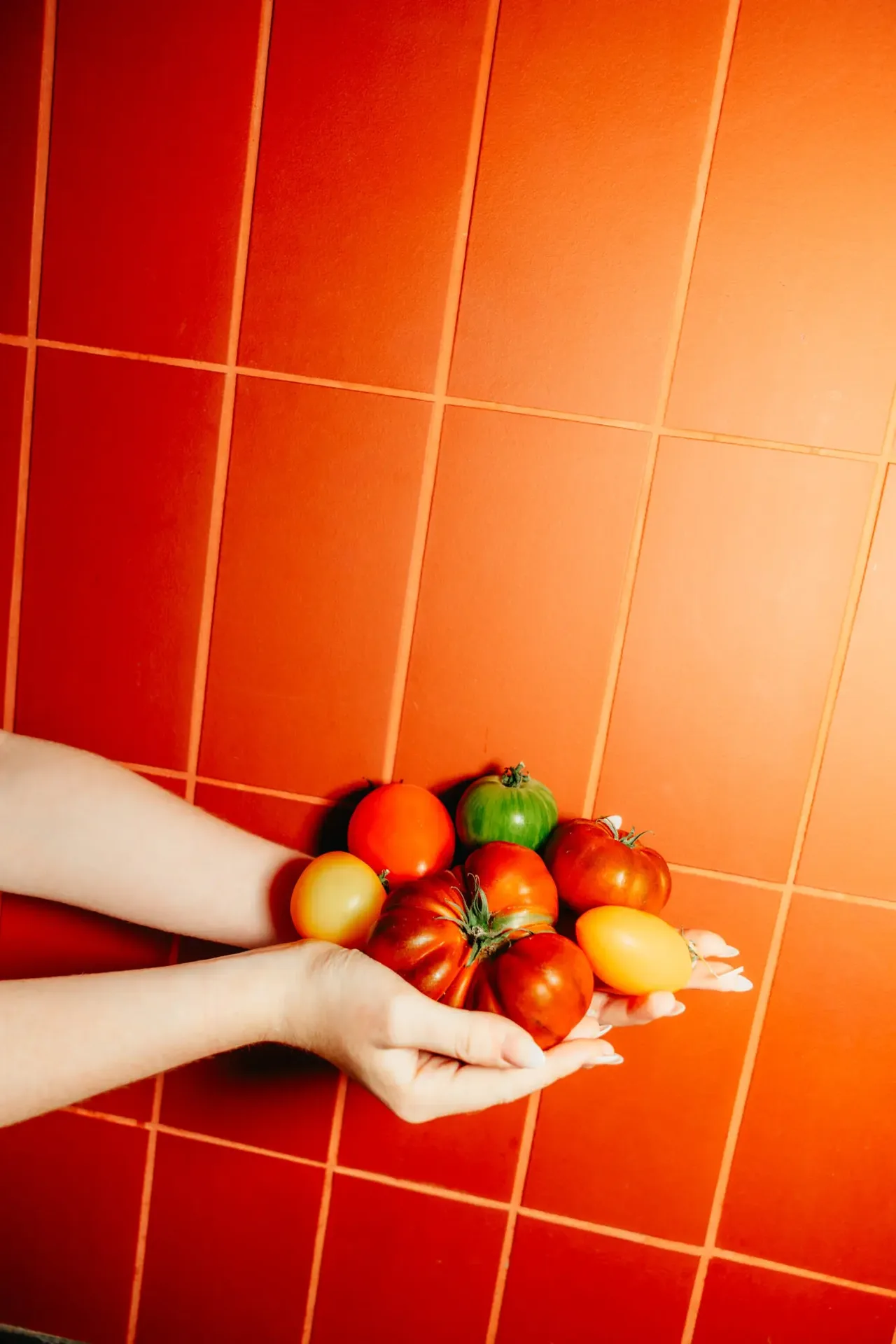 Serra — kitchen