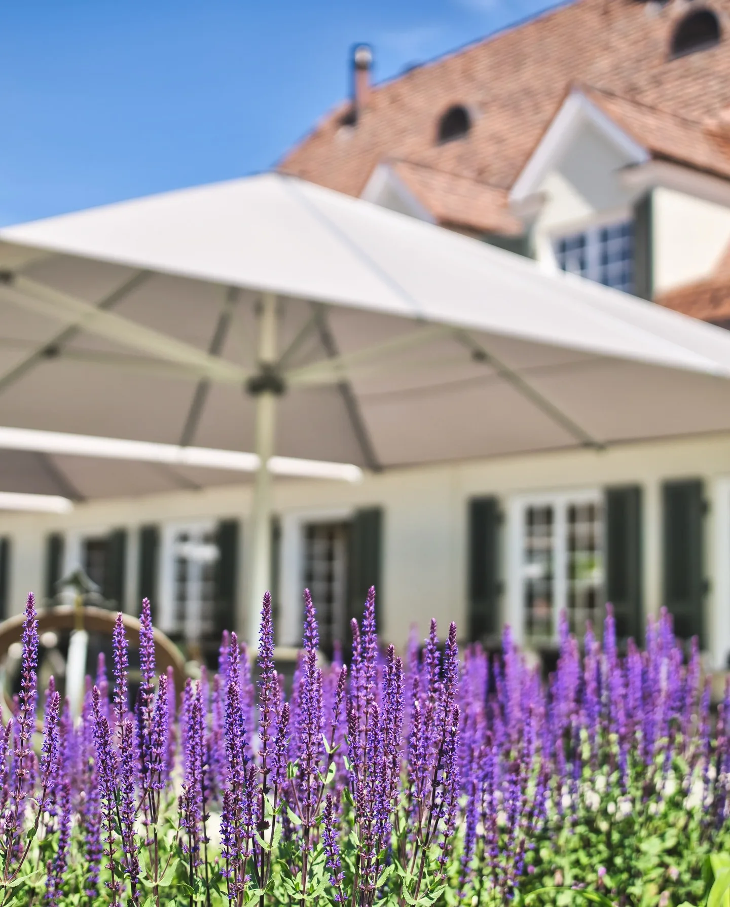 Villa Winzerpark — photo 8