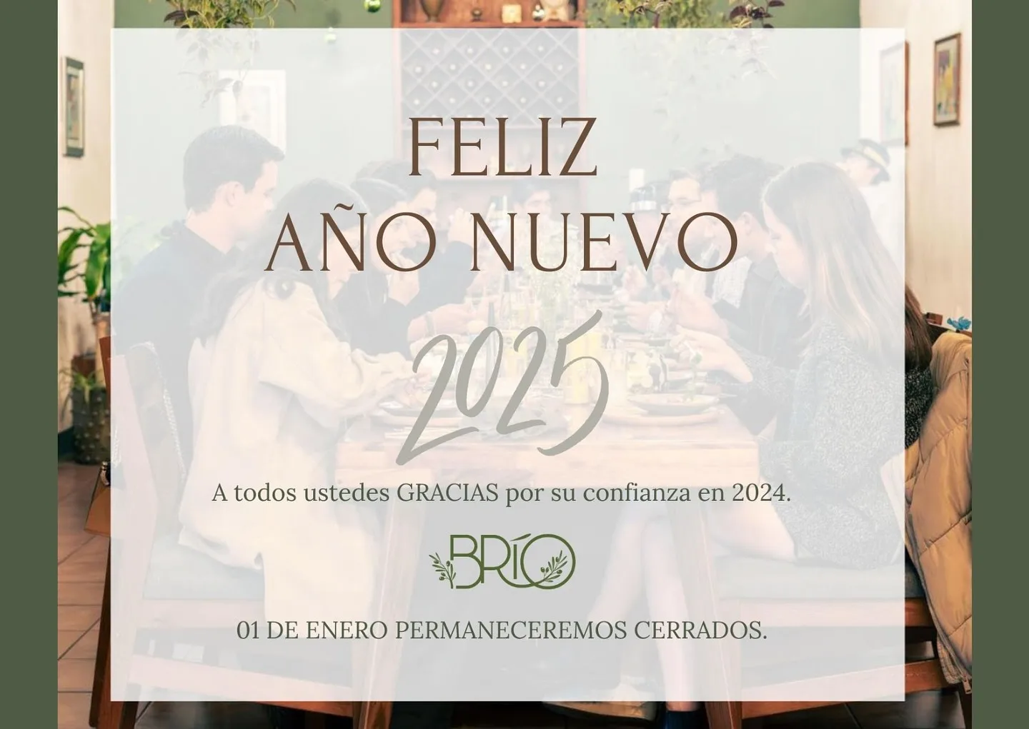 Brio — photo 16