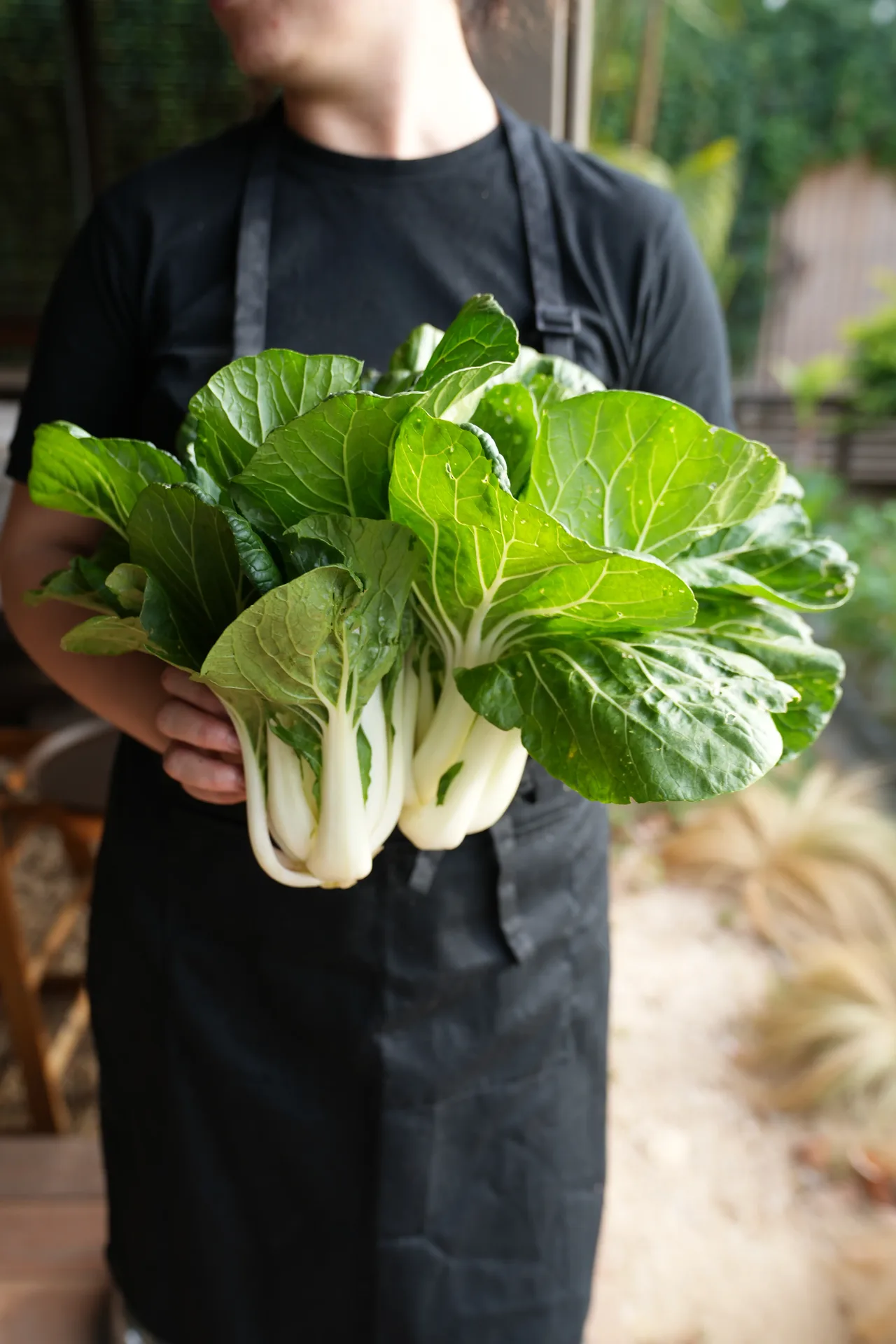 Cocina de Campo by Agricole — photo 12