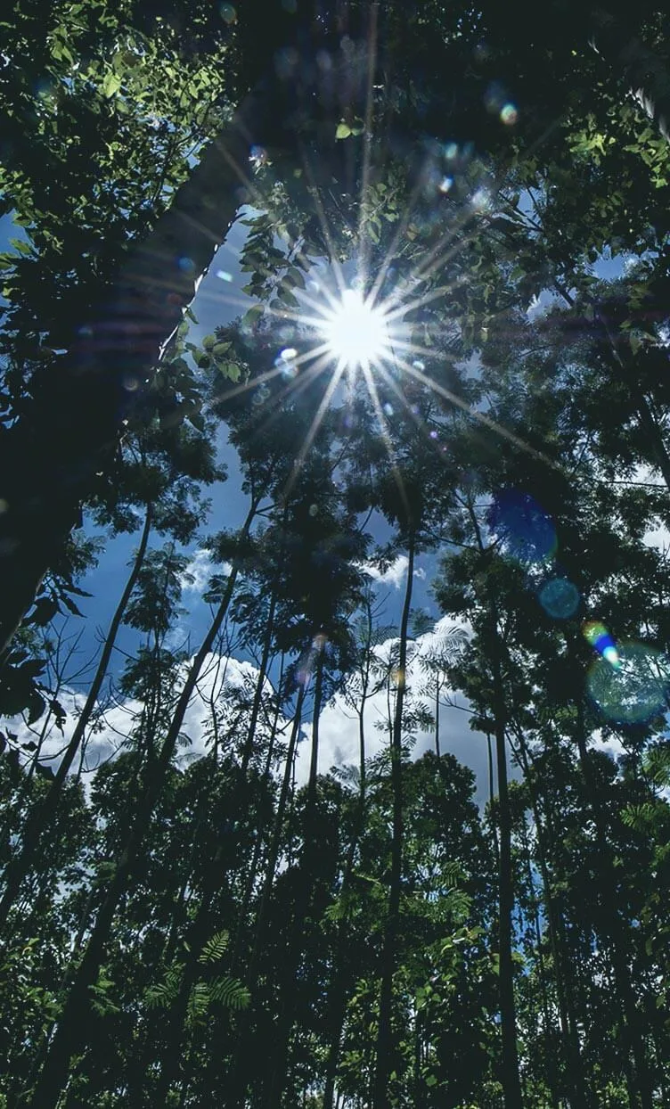 MAZ — photo 18