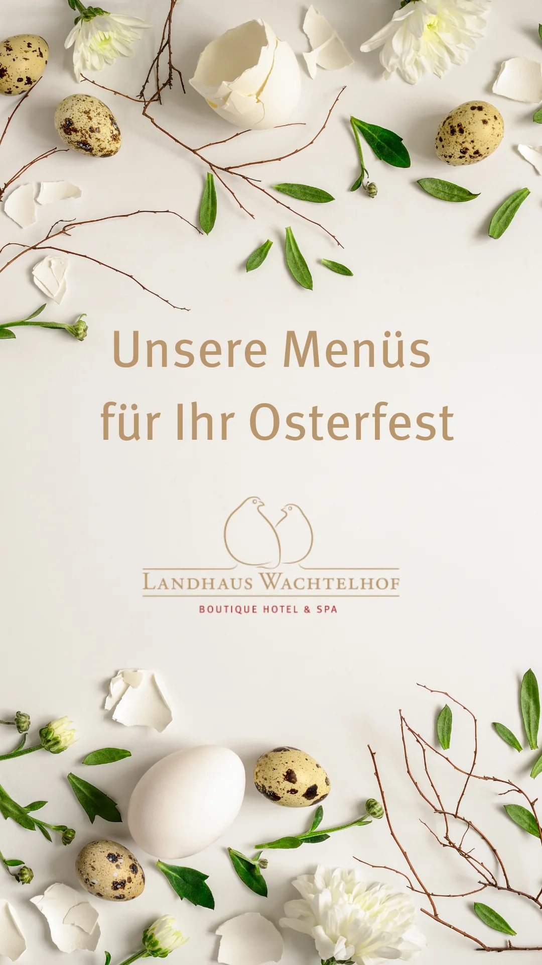 Die Wachtelei — photo 29