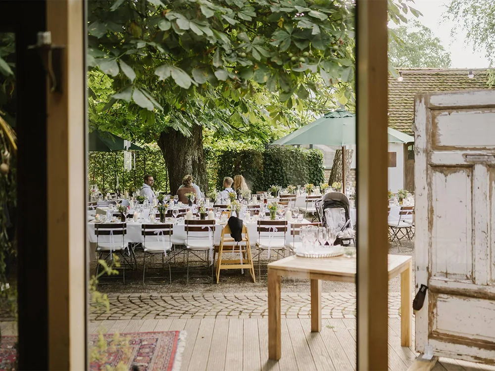 Waldvogel — photo 18