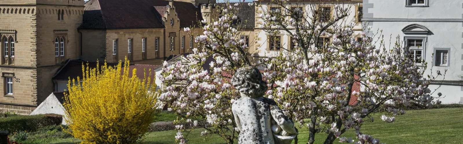 Restaurant Schloss Weitenburg — photo 12