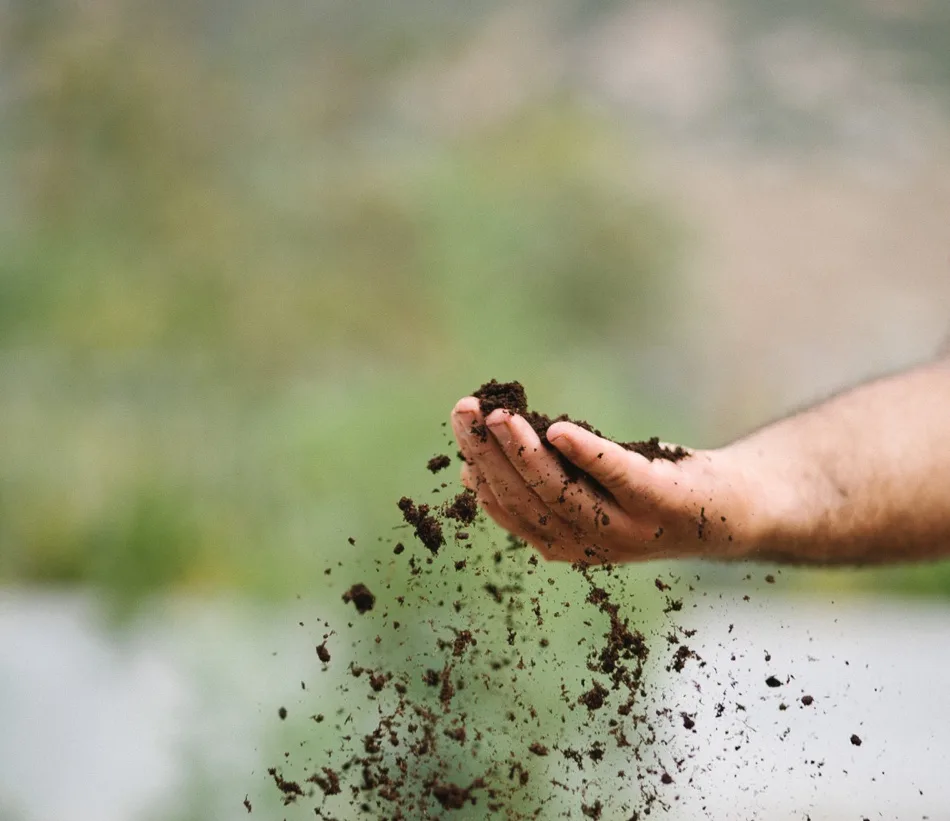 Soil — photo 13