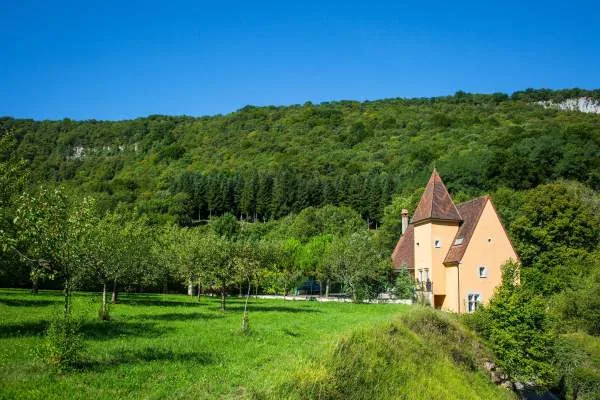 Castel Damandre — photo 4