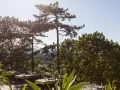 La Capitelle — photo 18