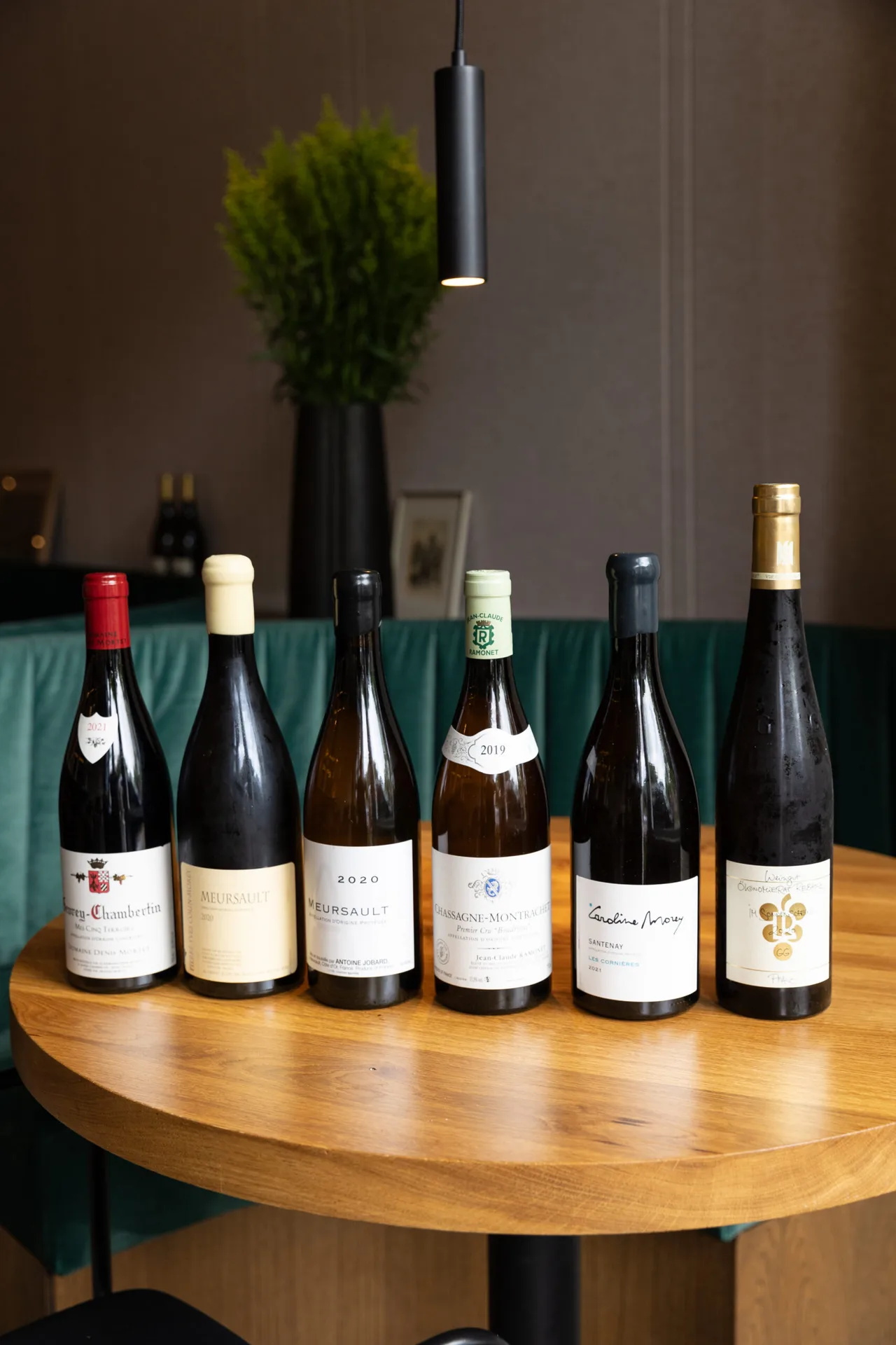 SOMM Bistro à Vin — photo 10