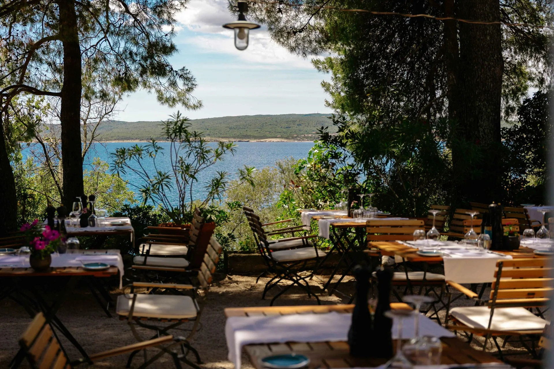 Restaurant Dida — photo 49