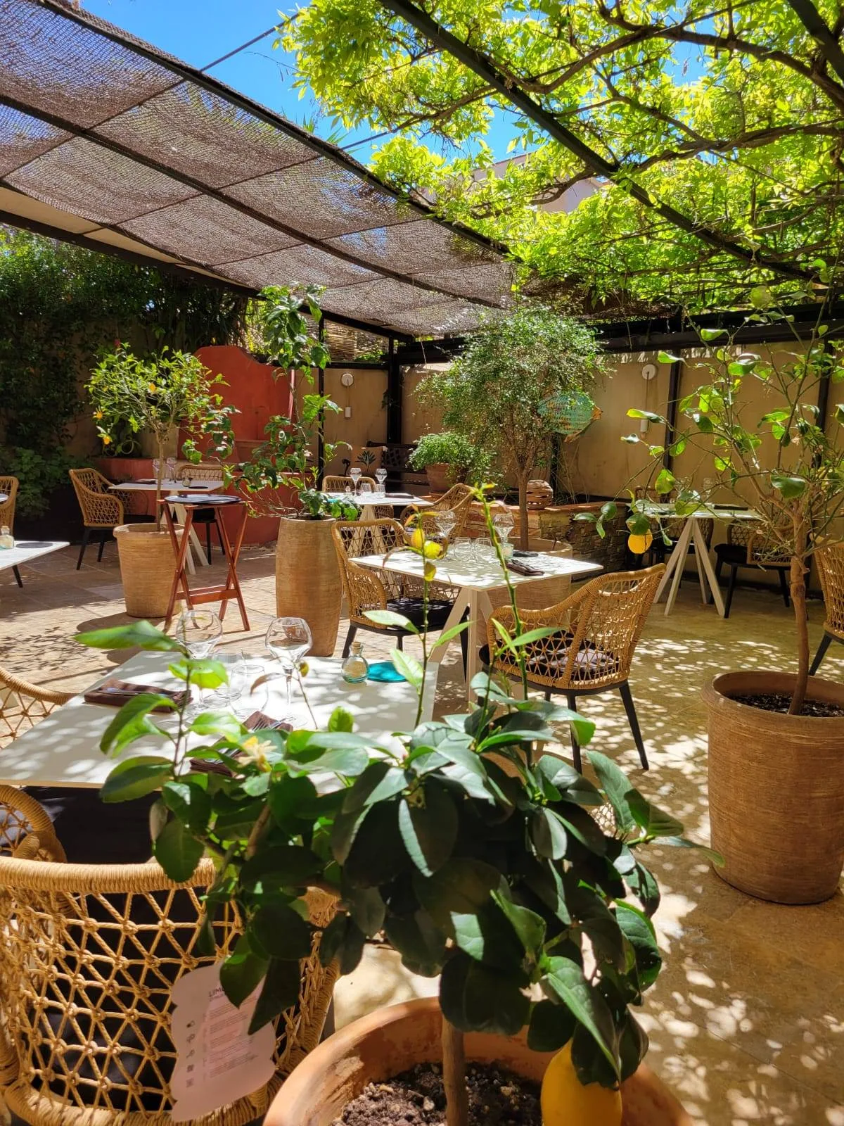 L.A Restaurant — photo 11