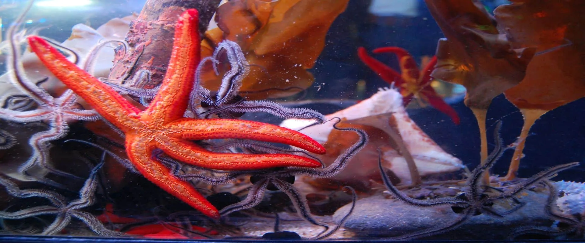 Restaurant Zur Bockmühle — photo 31