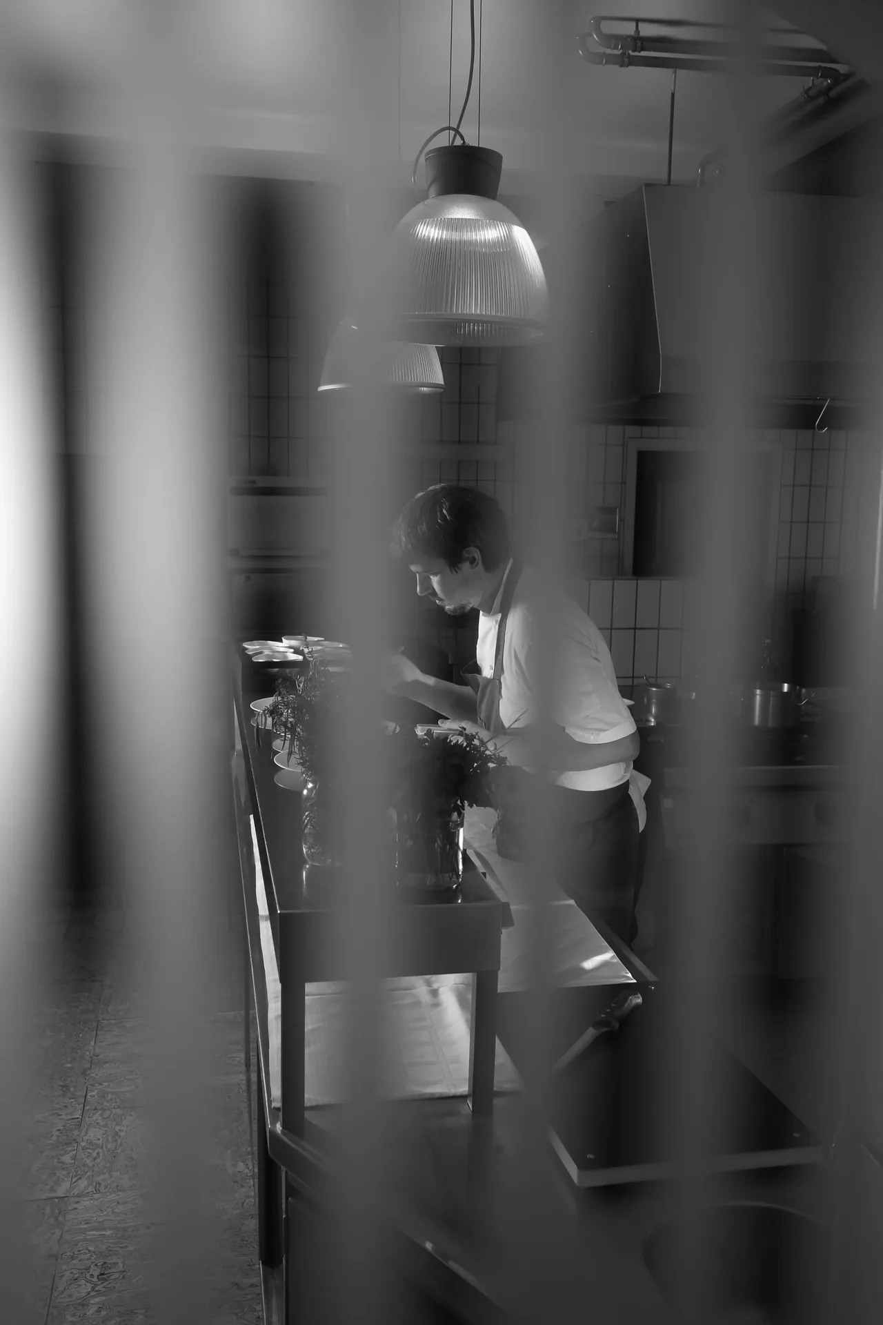Thaller — photo 52