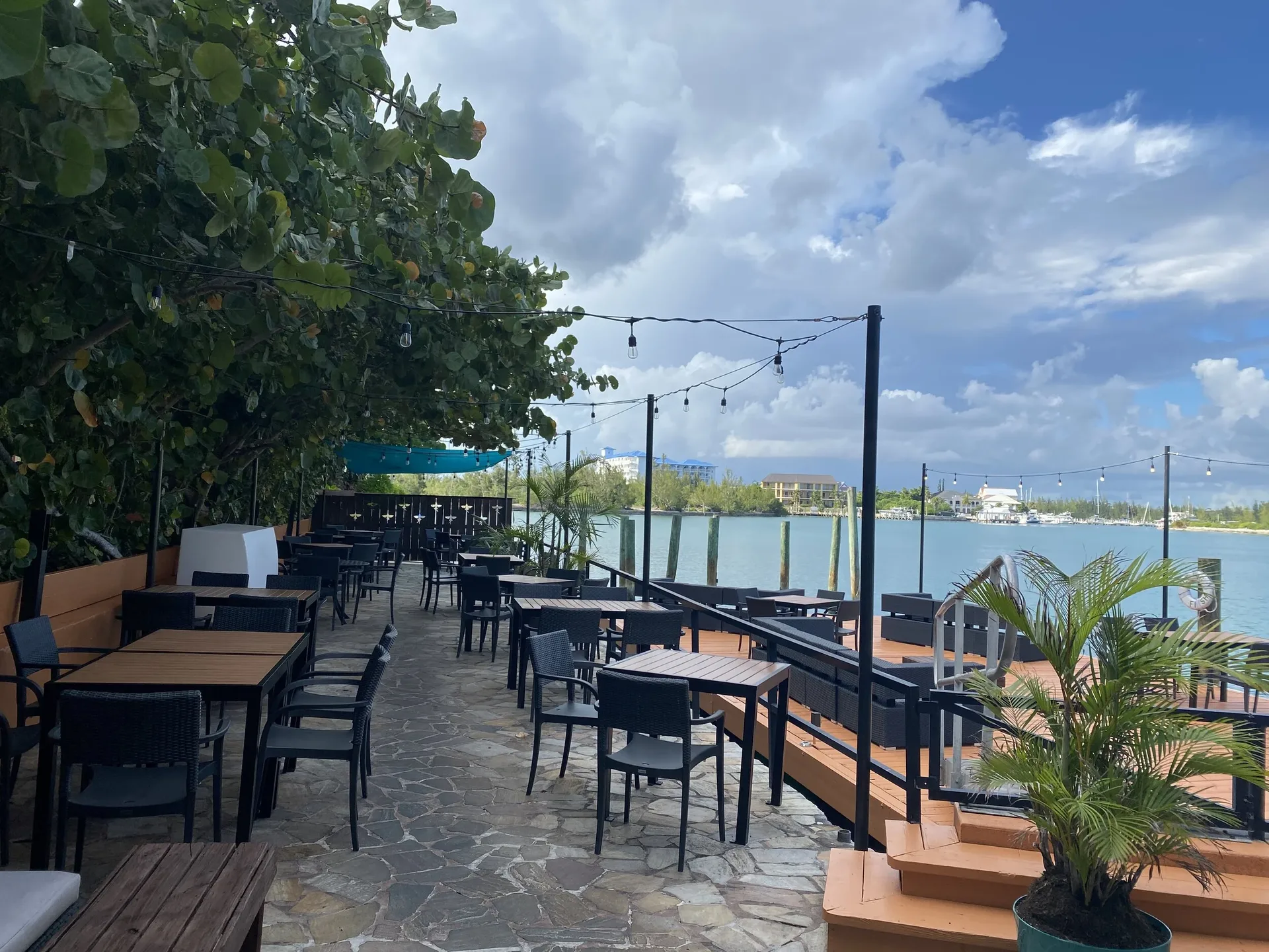 Flying Fish GastroBar — photo 97