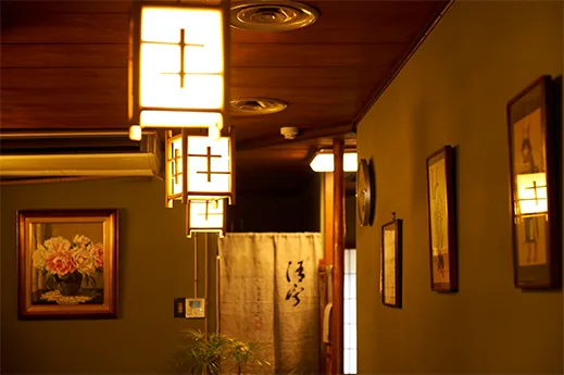 Hashimoto — photo 23