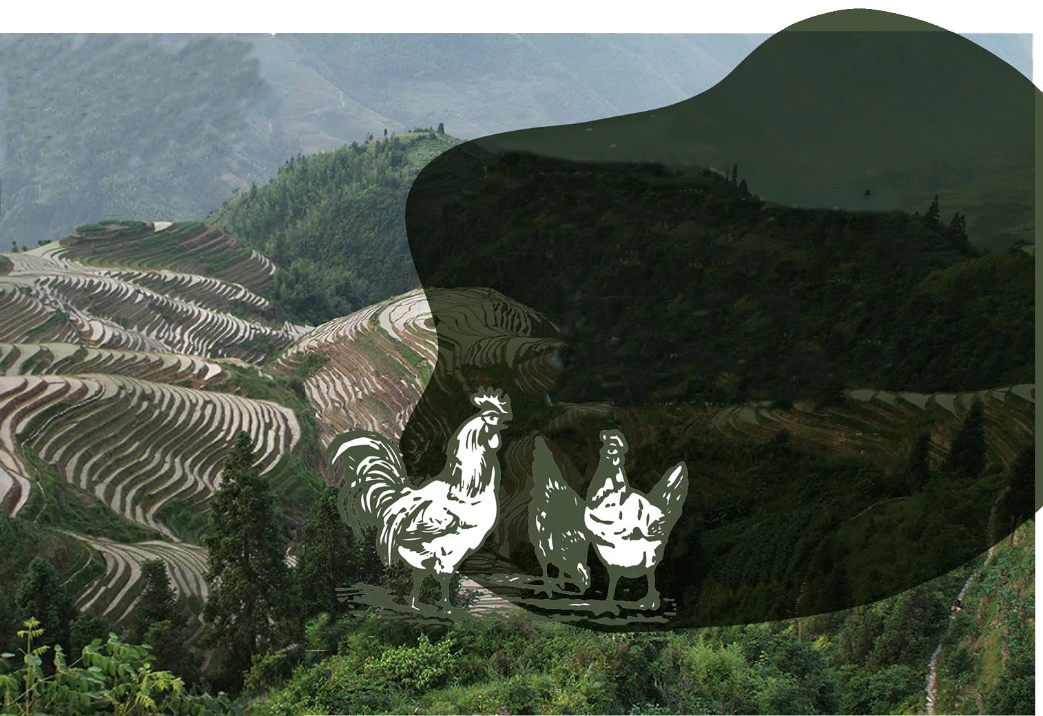 Bo.lan — photo 5