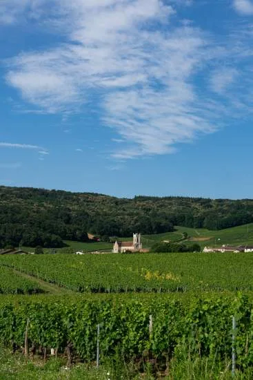 L'O des Vignes — atmosphere