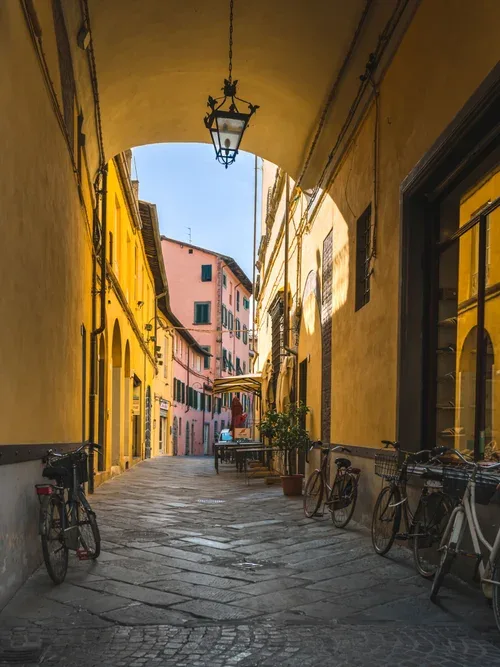 Lucca Osteria & Bar — photo 13