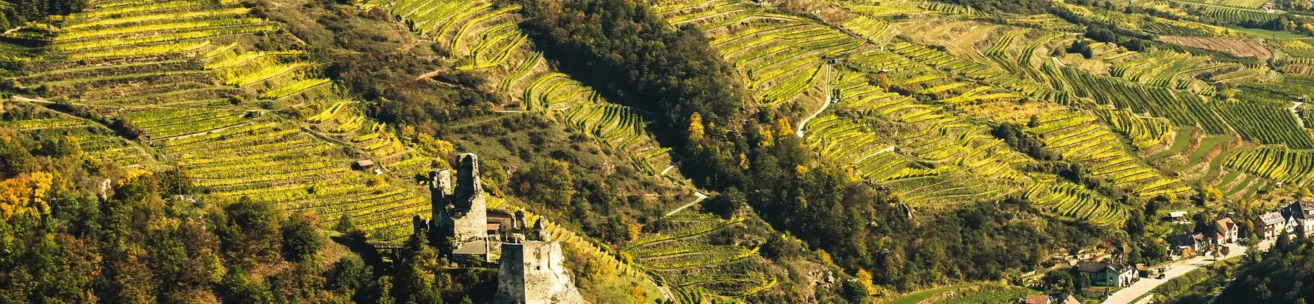 Weingut Nigl — photo 48