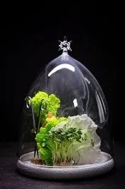 Chef’s Table by Ernest Jagodziński — food