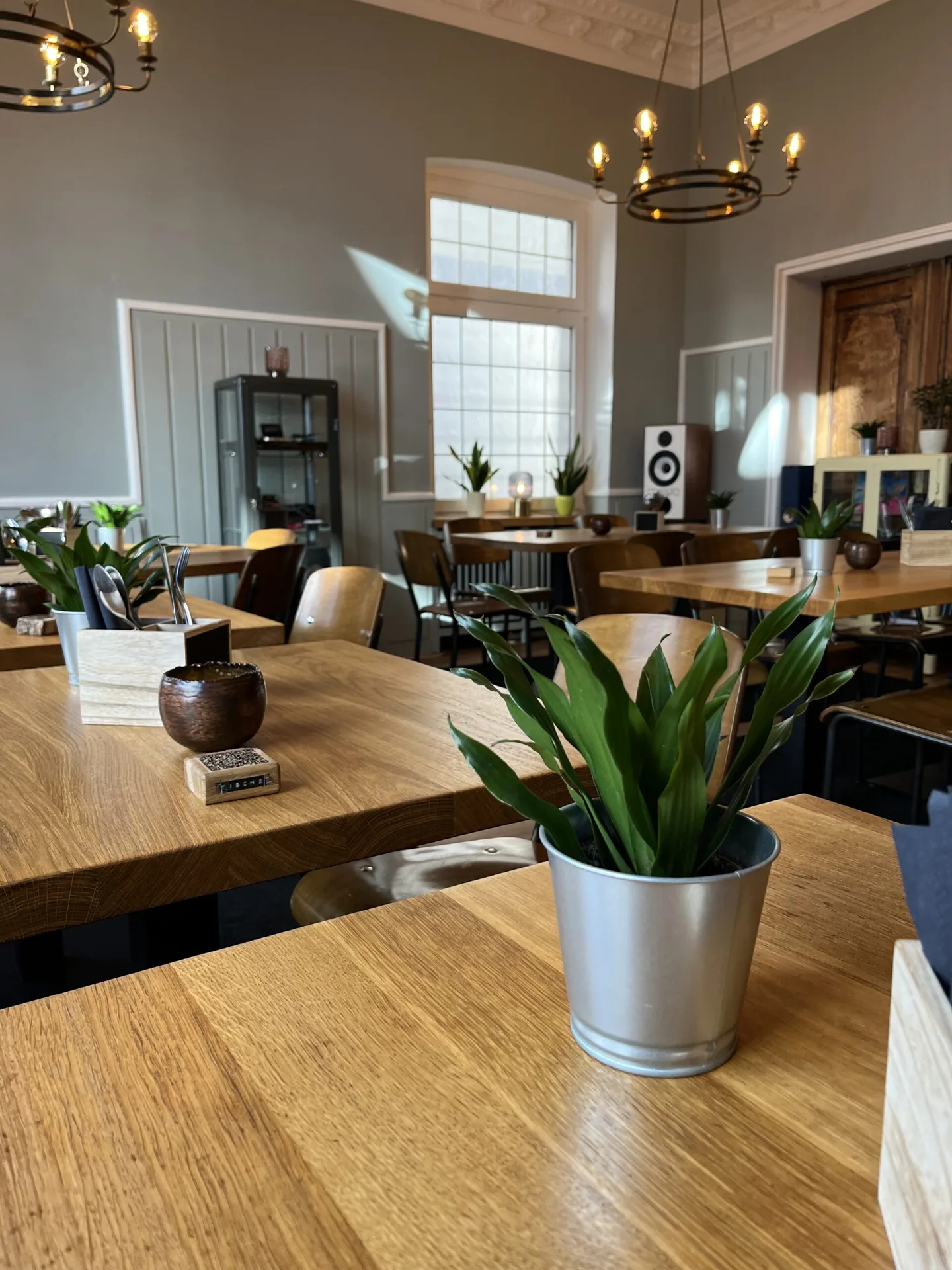 OWLs Bar &amp; Restaurant — photo 48