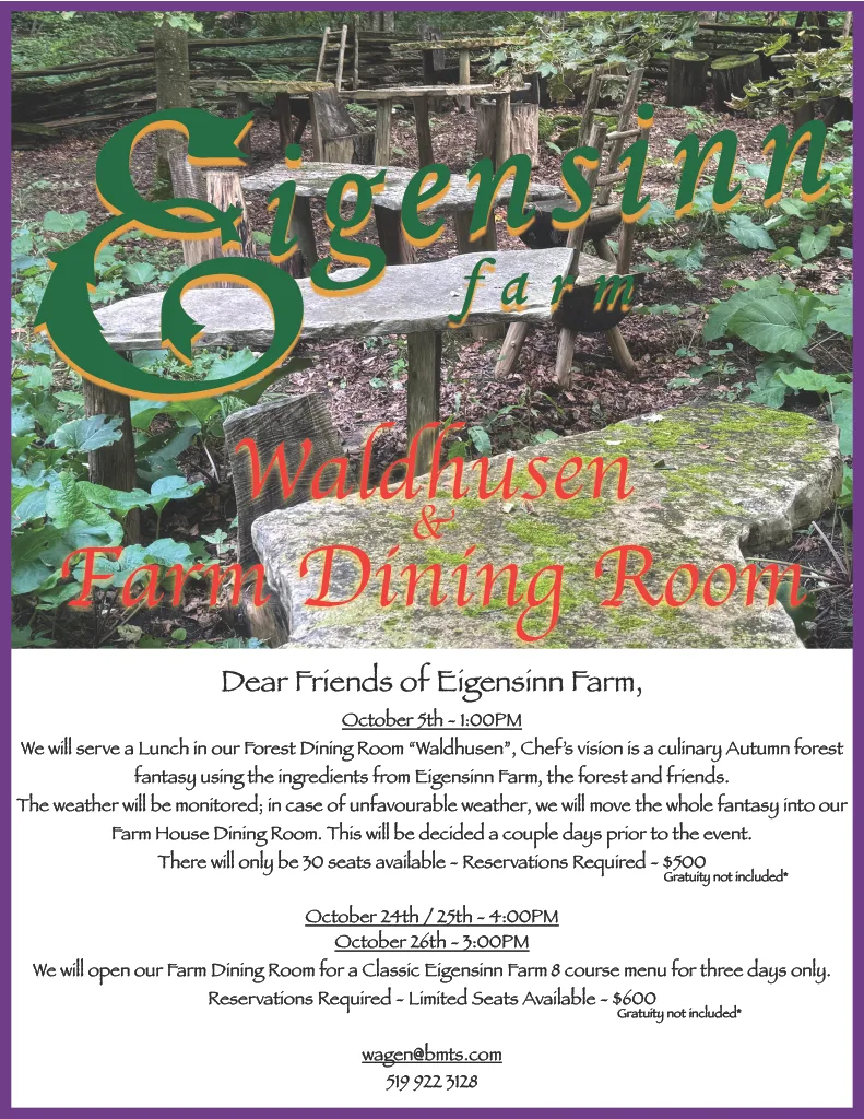 Eigensinn Farm — photo 22