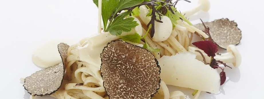 Bonte B — food