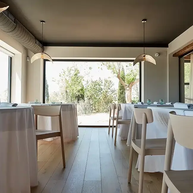 Coto de Quevedo Evolución — photo 15