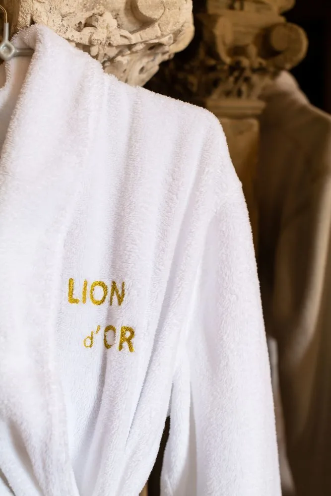 Grand Hôtel du Lion d'Or — photo 22